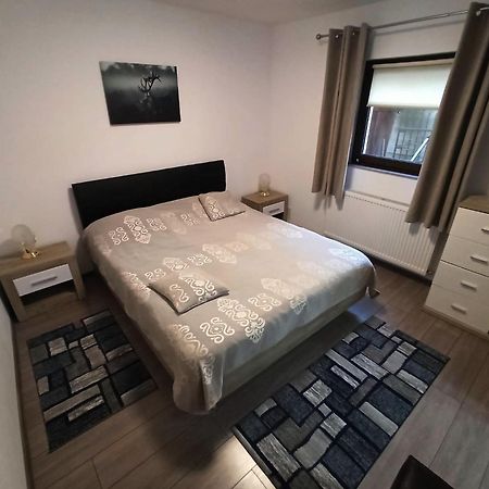 Skyline Villa Azuga Zewnętrze zdjęcie