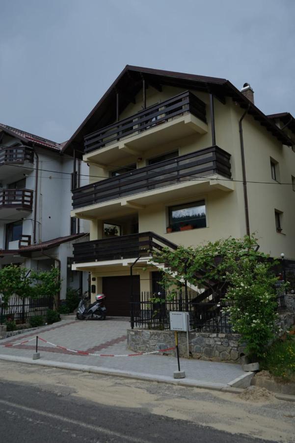 Skyline Villa Azuga Zewnętrze zdjęcie