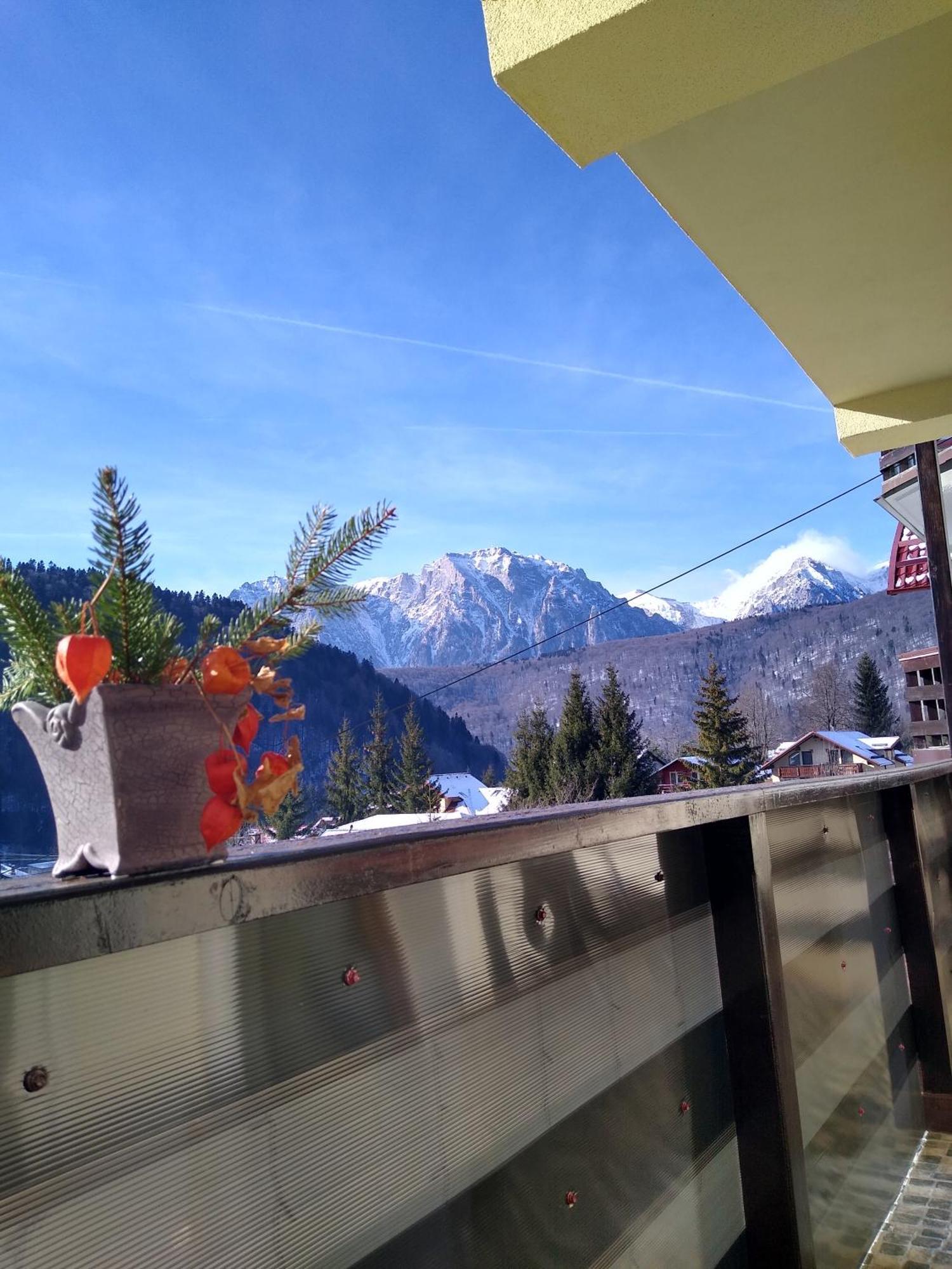Skyline Villa Azuga Zewnętrze zdjęcie